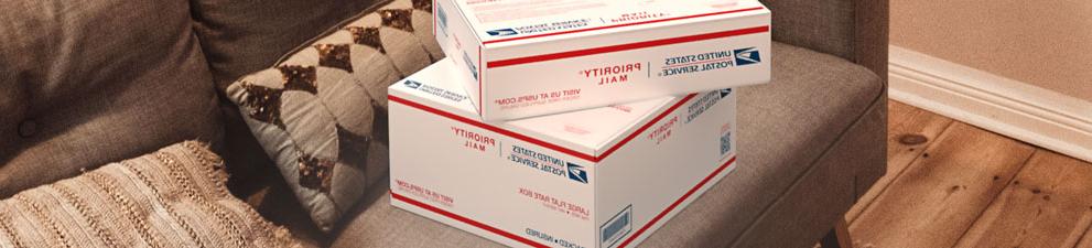Two Priority Mail<sup>®</sup> boxes sitting on a couch.